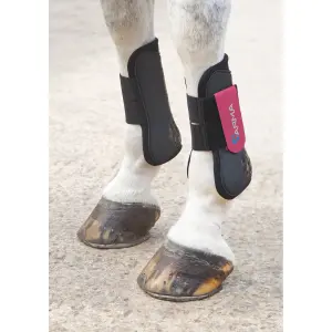 Botas de cavalo ARMA Tendon image-1