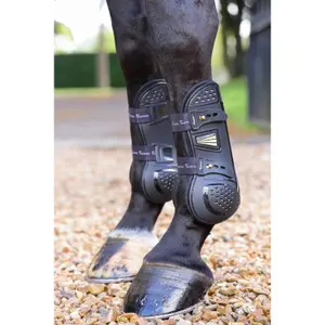 Front gaiters for horses ARMA Oxi-zone image-3
