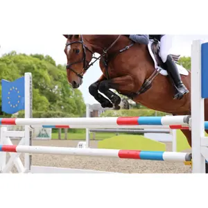 Front gaiters for horses ARMA Oxi-zone image-4