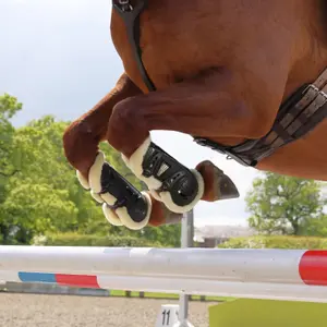 Horse boots ARMA Oxi-zone SupaFleece image-3