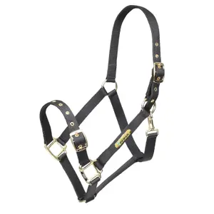 Verstellbares Nylonhalfter für Pferde ARMA image-0