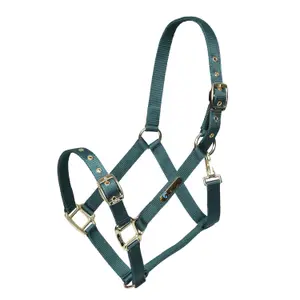 Verstellbares Nylonhalfter für Pferde ARMA image-0