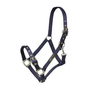 Verstellbares Nylonhalfter für Pferde ARMA image-0