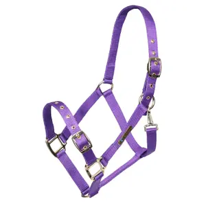 Verstellbares Nylonhalfter für Pferde ARMA image-0