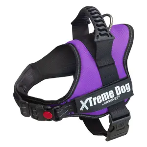 Harnais pour chien Arquivet Xtreme image-0