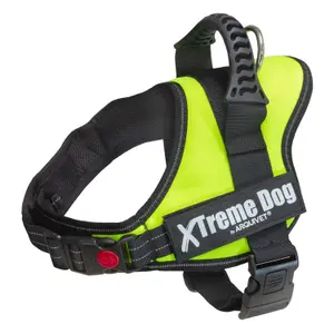 Arnés para perros Arquivet Xtreme image-0