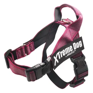 Harnais pour chien Arquivet Xtreme Classic image-0