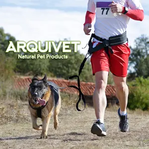 Bauchgurt mit Leine für Hunde Arquivet Canicross image-2