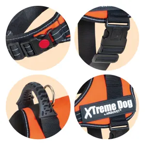 Arnés para perros Arquivet Xtrem image-1