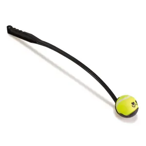 Hondenbal Arquivet image-0