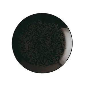 Dinner plate Arthur Krupp Eclipse (x4) image-0