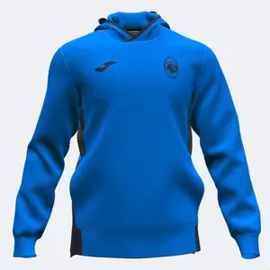 Pullover Atalanta Bergame 2022/23 image-0