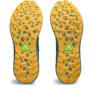 Schoenen van trail Asics Fuji Lite 4 image-6