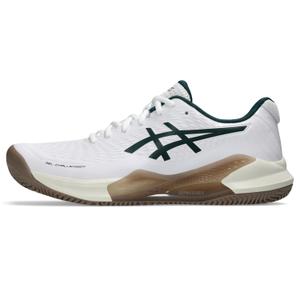 product/a/s/asics_1041a449_104_sl_lt_glb.jpg