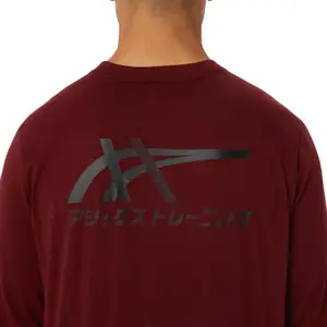 Jersey met lange mouwen Asics Tiger image-5