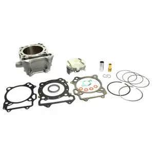 Engine parts Athena 400 DVX 2WD