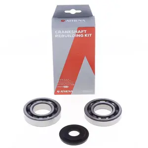 Crankshaft Bearing and Seal Kit Athena Honda Fes 125 Pantheon image-0