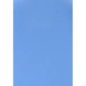 Γυναικείο αμάνικο μπλουζάκι Athlecia Almi V2 image-2