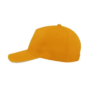 Basebollkeps Atlantis Headwear Start Five Sandwich image-1