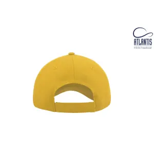 Gorra de béisbol Atlantis Headwear Zoom image-1