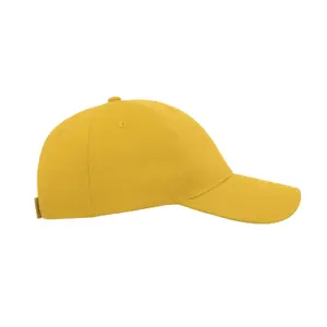 Gorra de béisbol Atlantis Headwear Zoom image-2