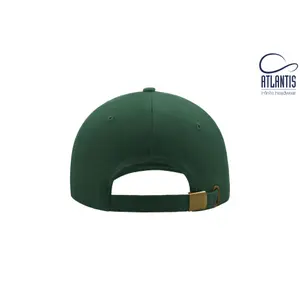 Casquette de baseball Atlantis Headwear Liberty Six image-3