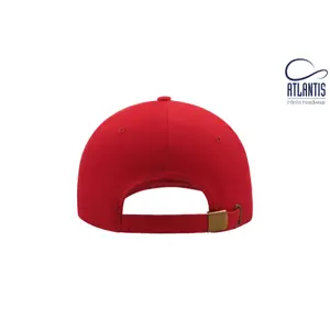 Casquette de baseball Atlantis Headwear Liberty Six image-3