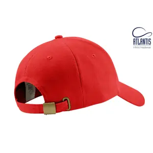 Casquette de baseball Atlantis Headwear Liberty Six image-4