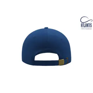 Casquette de baseball Atlantis Headwear Liberty Six image-3