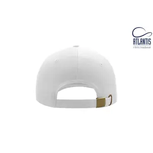 Casquette de baseball Atlantis Headwear Liberty Six image-3