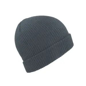 Cuffed beanie Atlantis Headwear Skate image-2