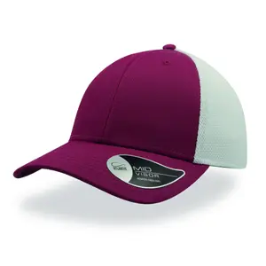 Baseball cap Atlantis Headwear Campus image-0