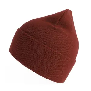 Gorro de poliéster Atlantis Headwear Pure image-1
