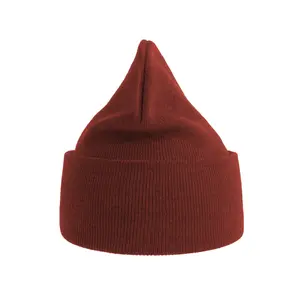 Gorro de poliéster Atlantis Headwear Pure image-2