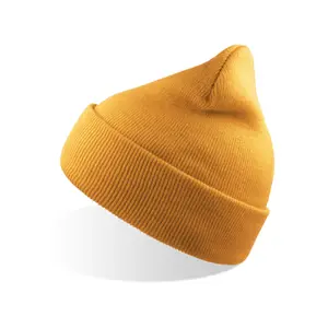 Recycled polyester beanie Atlantis Headwear Wind S image-1