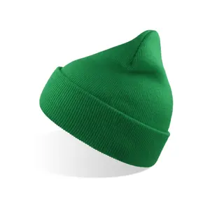 Recycled polyester beanie Atlantis Headwear Wind S image-1