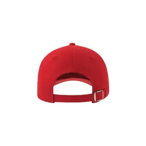 Casquette de baseball 6 pans Atlantis Headwear Liberty Sandwich-S image-3