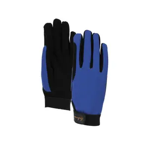 Winterreithandschuhe Aubrion Team image-0