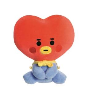 Plüschtier Aurora BT21 Tata Baby 5in