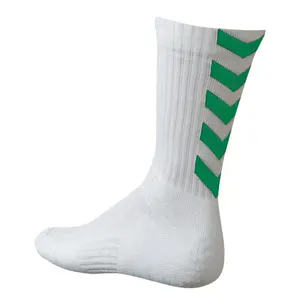 Chaussettes Hummel hmlAUTHENTIC Indoor - Blanc/vert image-0
