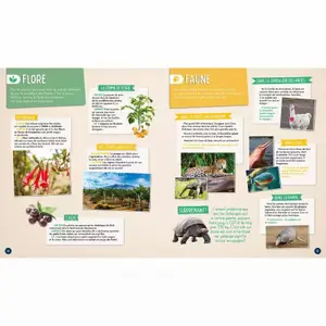 Book my first atlas Auzou image-3