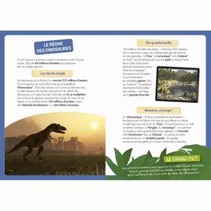 Educational games Auzou A La Découverte Des Dinosaures image-1