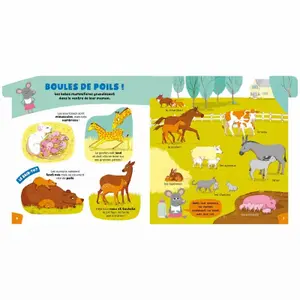 Book l'encyclo des super-curieux Auzou image-1