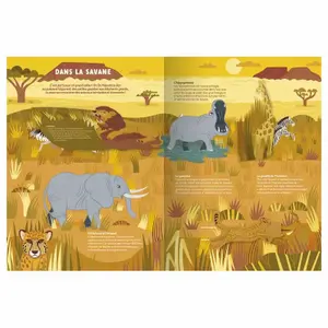 Livre les animaux sauvages - an animated documentary Auzou image-1