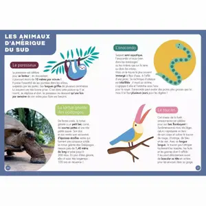 Puzzle - a book - a poster Auzou Atlas image-2