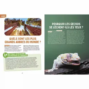 Mysteries of nature book - science &amp; vie junior Auzou image-2