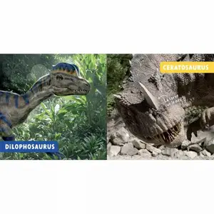 Book mon premier doc photo - dinosaurs Auzou image-2