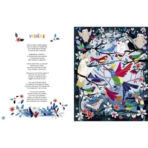 Book le carnaval des animaux Auzou image-3