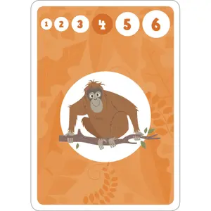 World animal battle card games Auzou image-0