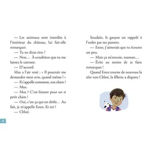 Books for my first investigations volume 1 the ghost of the castle Auzou image-1